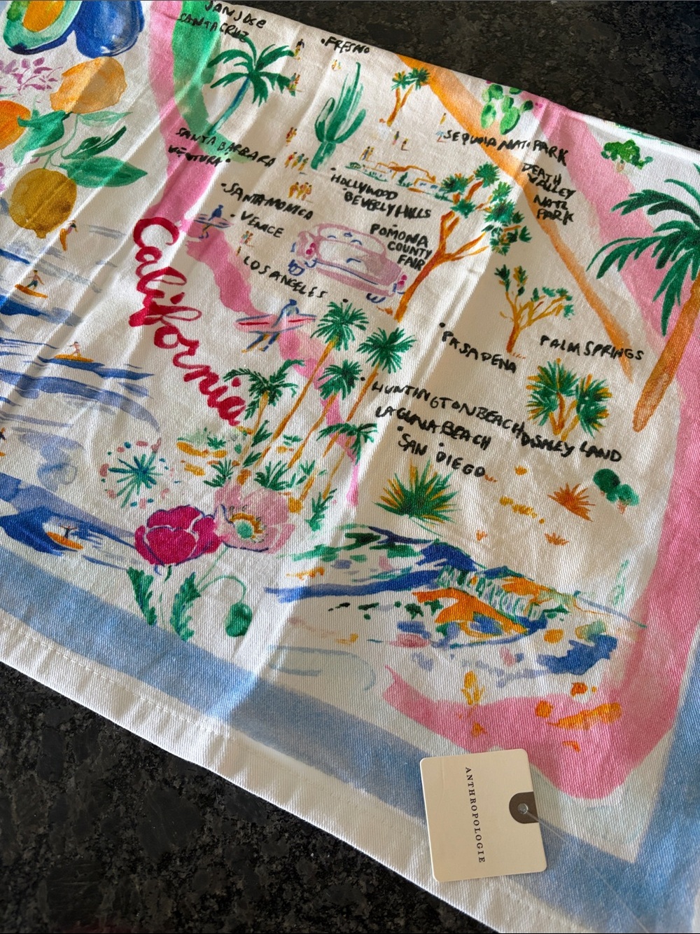 Anthropologie California Beach Print Dish Towel- Pink, Blue, Green